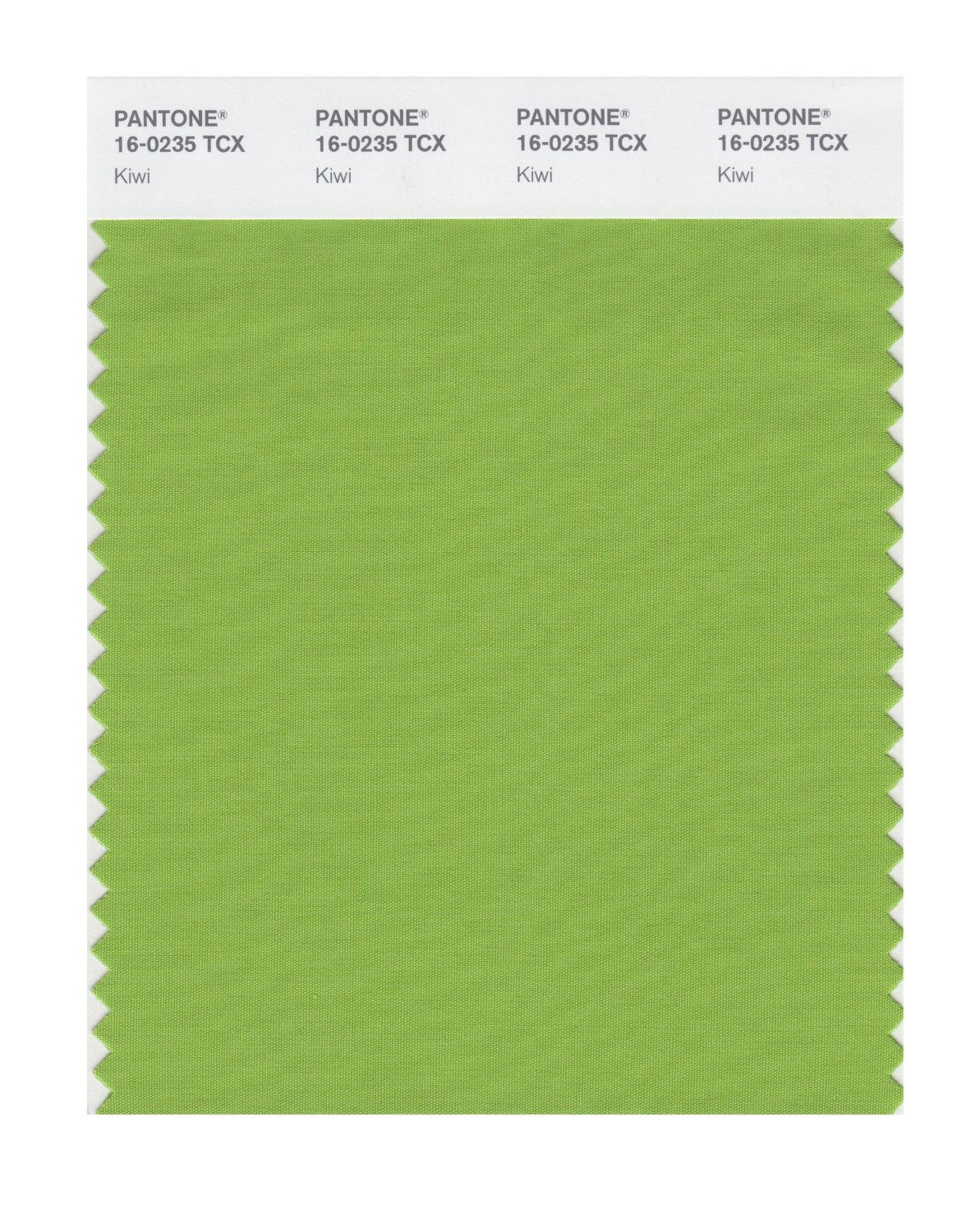 Pantone Cotton Swatch 16-0235 Kiwi