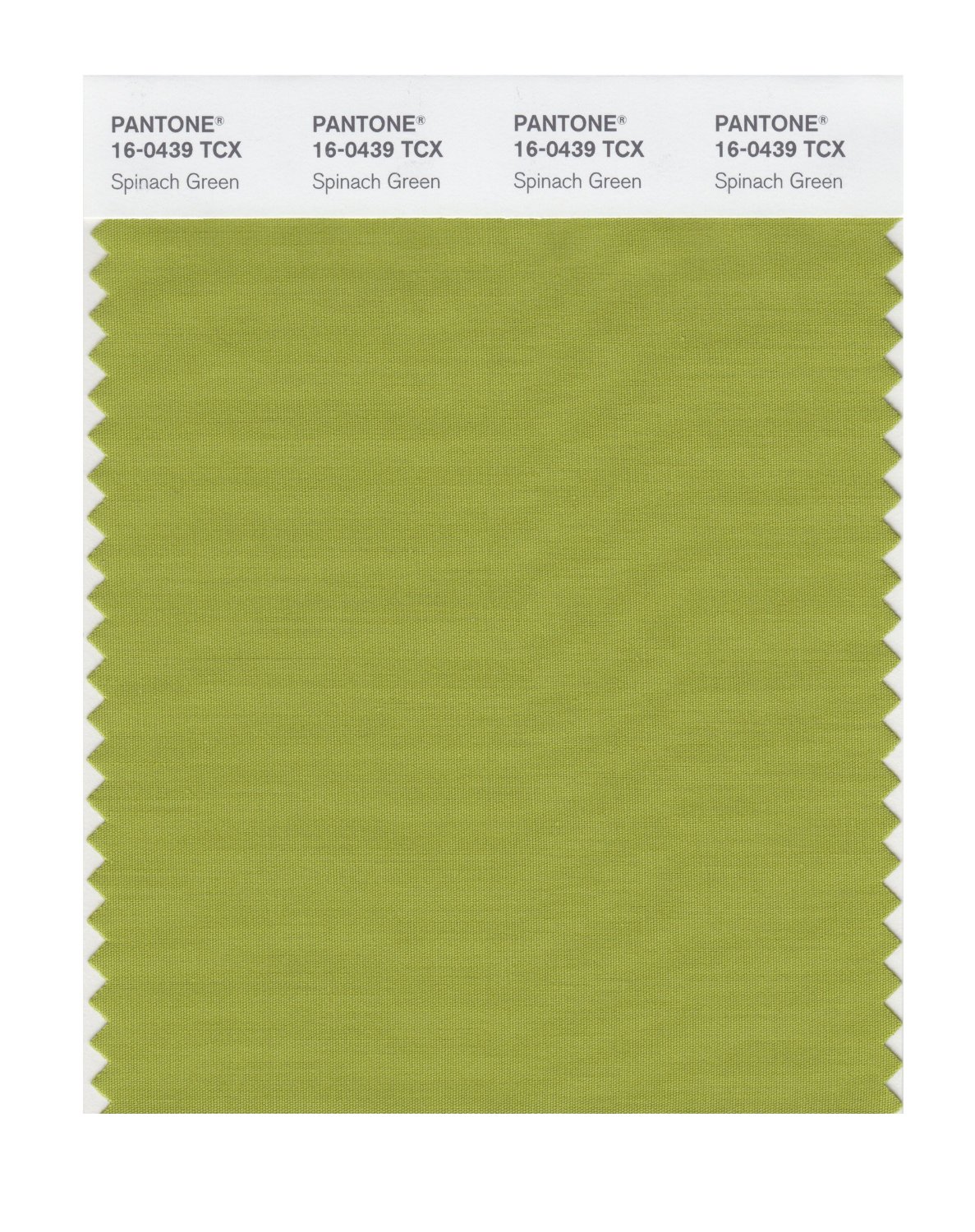 Pantone Cotton Swatch 16-0439 Spinach Green