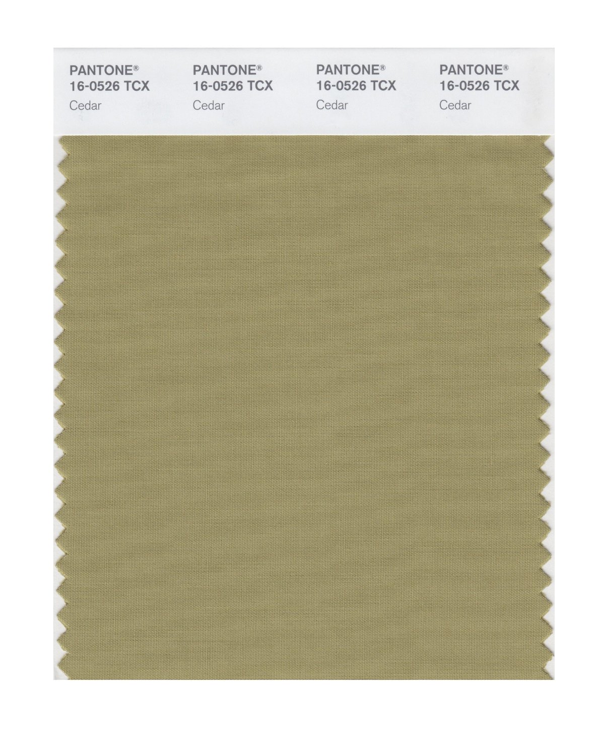 Pantone Cotton Swatch 16-0526 Cedar