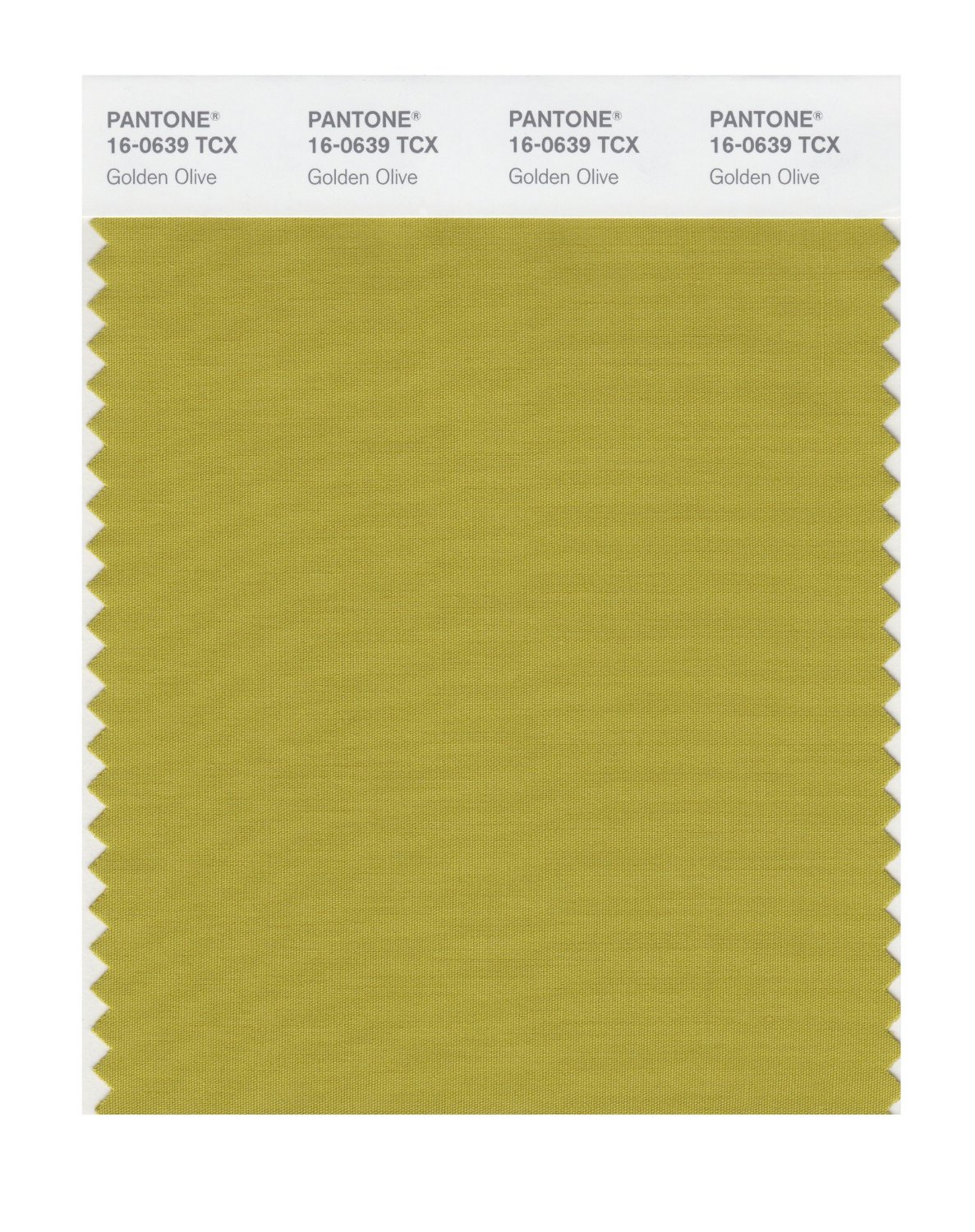 Pantone Cotton Swatch 16-0639 Golden Olive