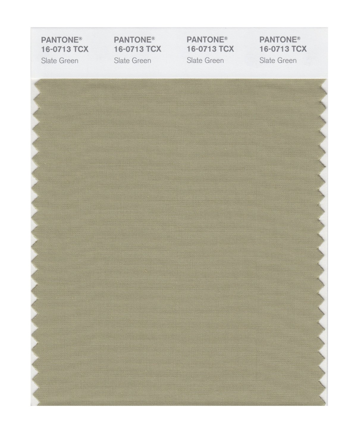 Pantone Cotton Swatch 16-0713 Slate Green