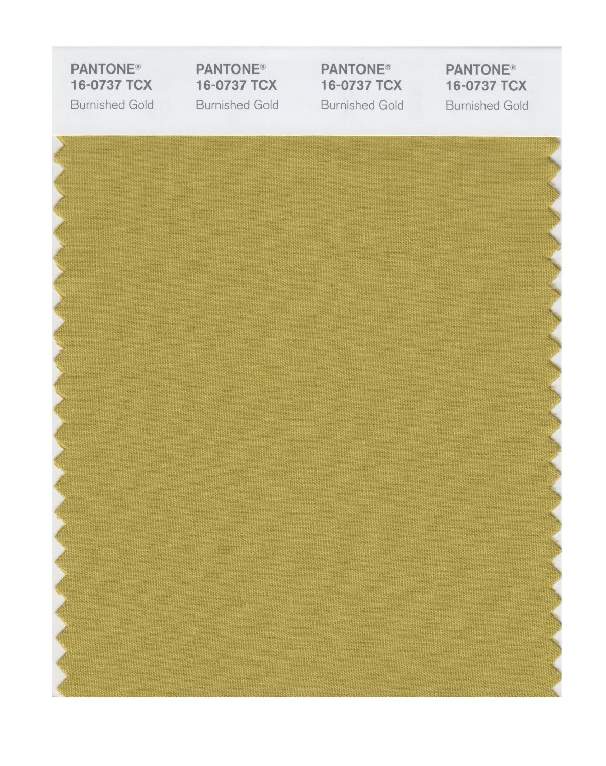 Pantone Cotton Swatch 16-0737 Burnished Gold
