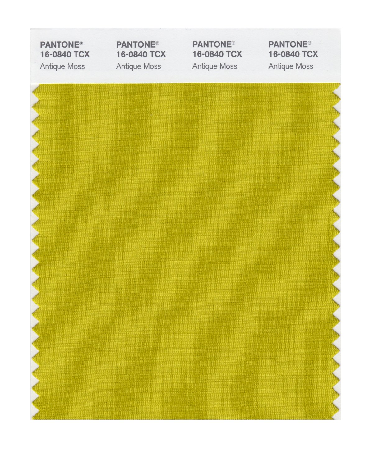 Pantone Cotton Swatch 16-0840 Antique Moss