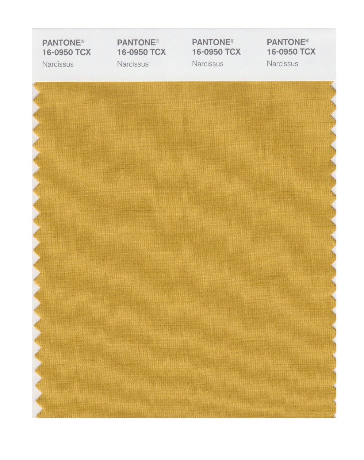 Pantone Cotton Swatch 16-0950 Narcissus