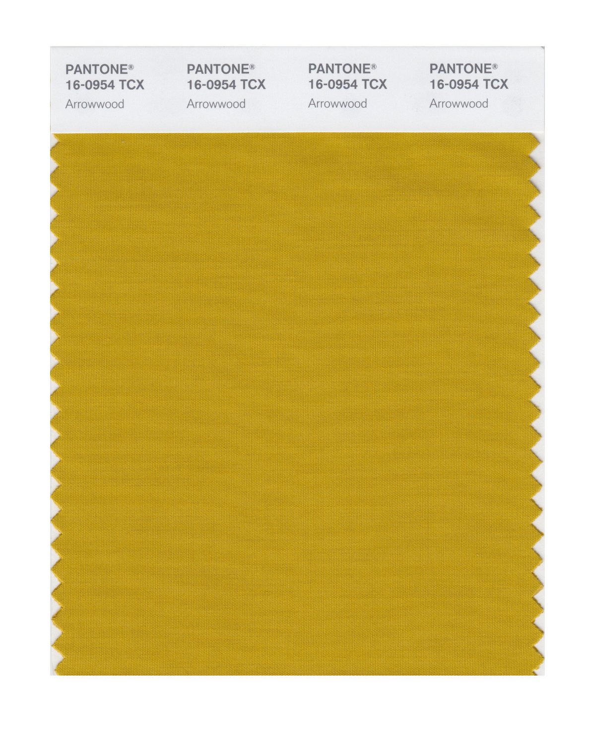 Pantone Cotton Swatch 16-0954 Arrowwood