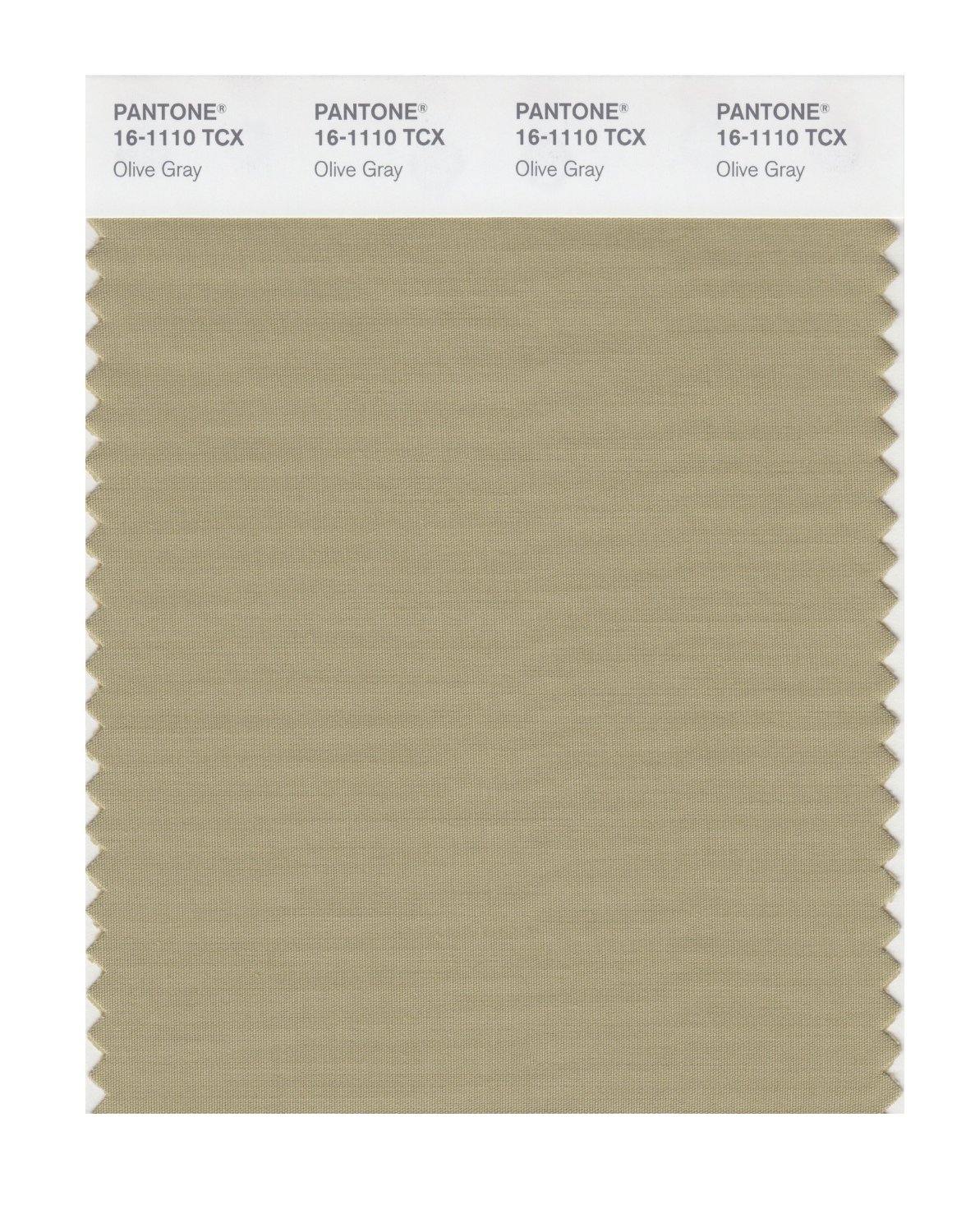 Pantone Cotton Swatch 16-1110 Olive Gray