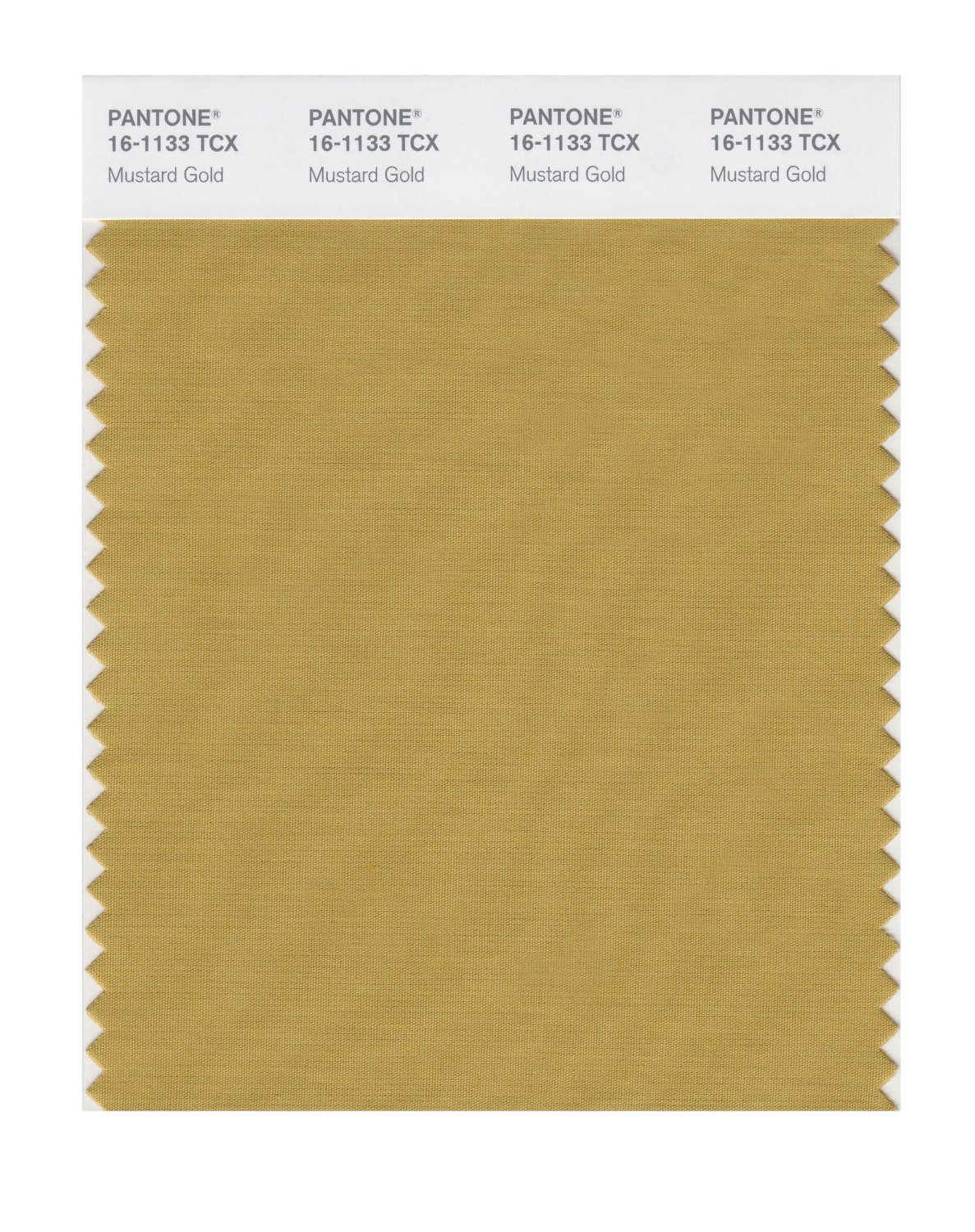 Pantone Cotton Swatch 16-1133 Mustard Gold