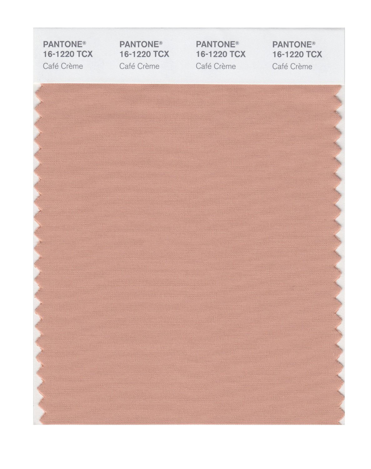 Pantone Cotton Swatch 16-1220 Cafe Creme