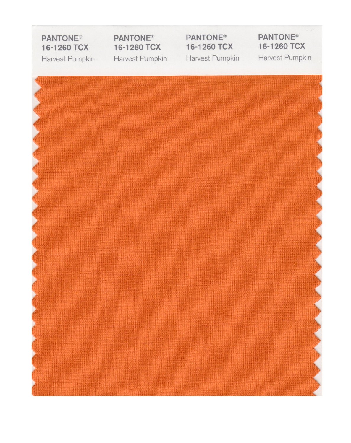 Pantone Cotton Swatch 16-1260 Harvest Pumpkin