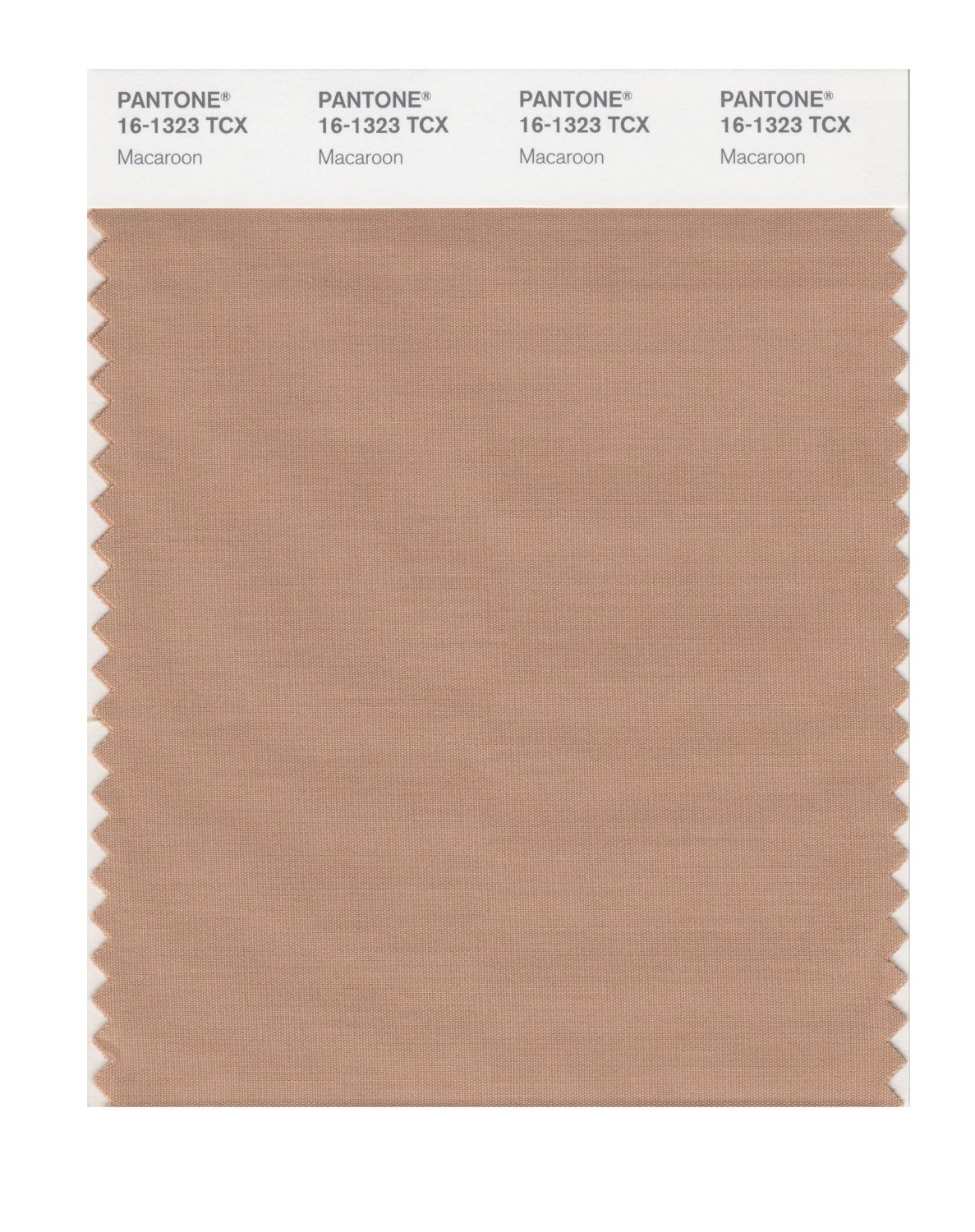 Pantone Cotton Swatch 16-1323 Macaroon