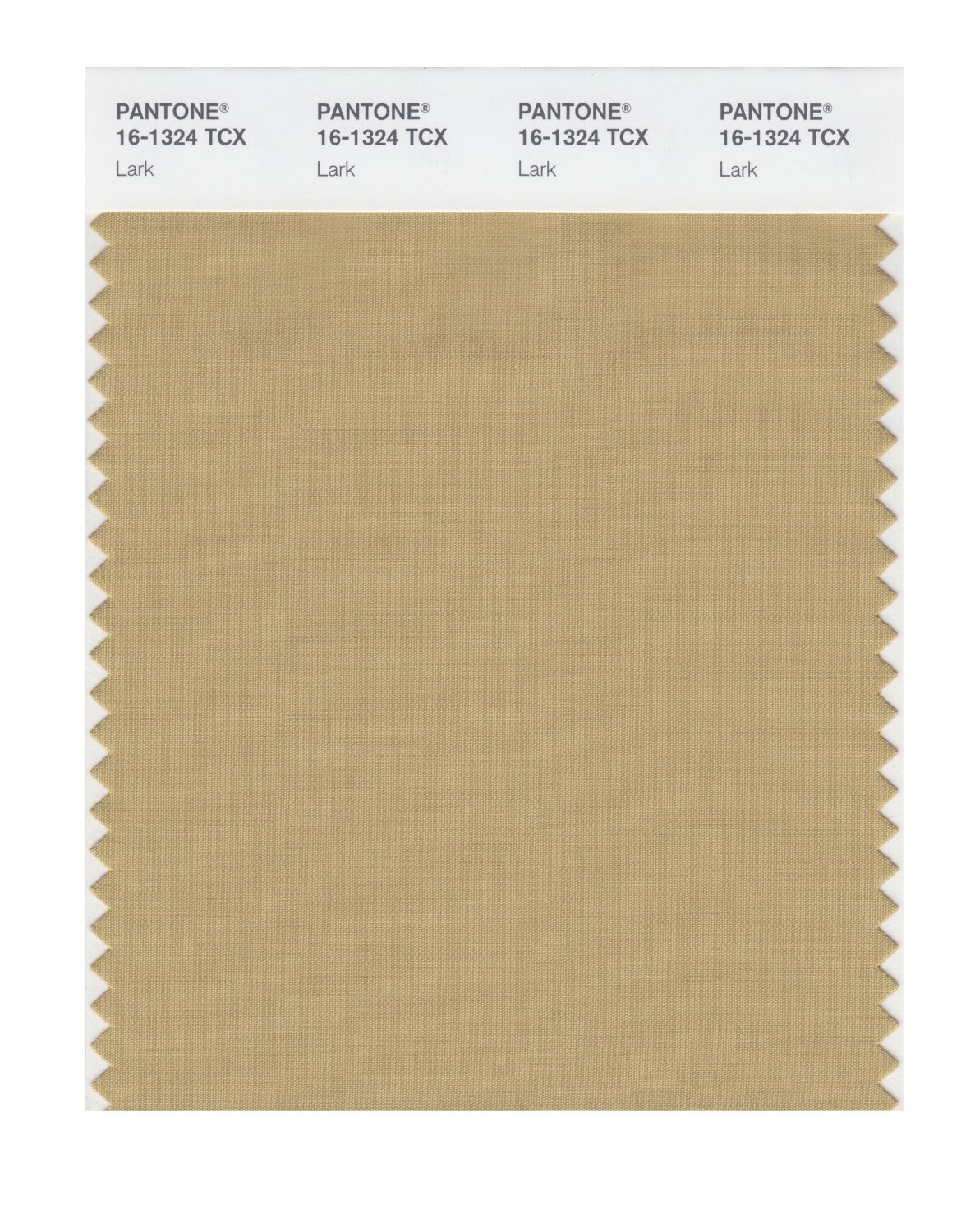 Pantone Cotton Swatch 16-1324 Lark