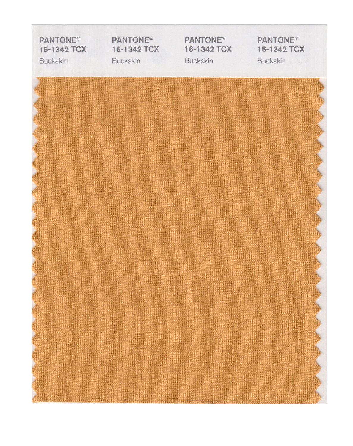 Pantone Cotton Swatch 16-1342 Buckskin