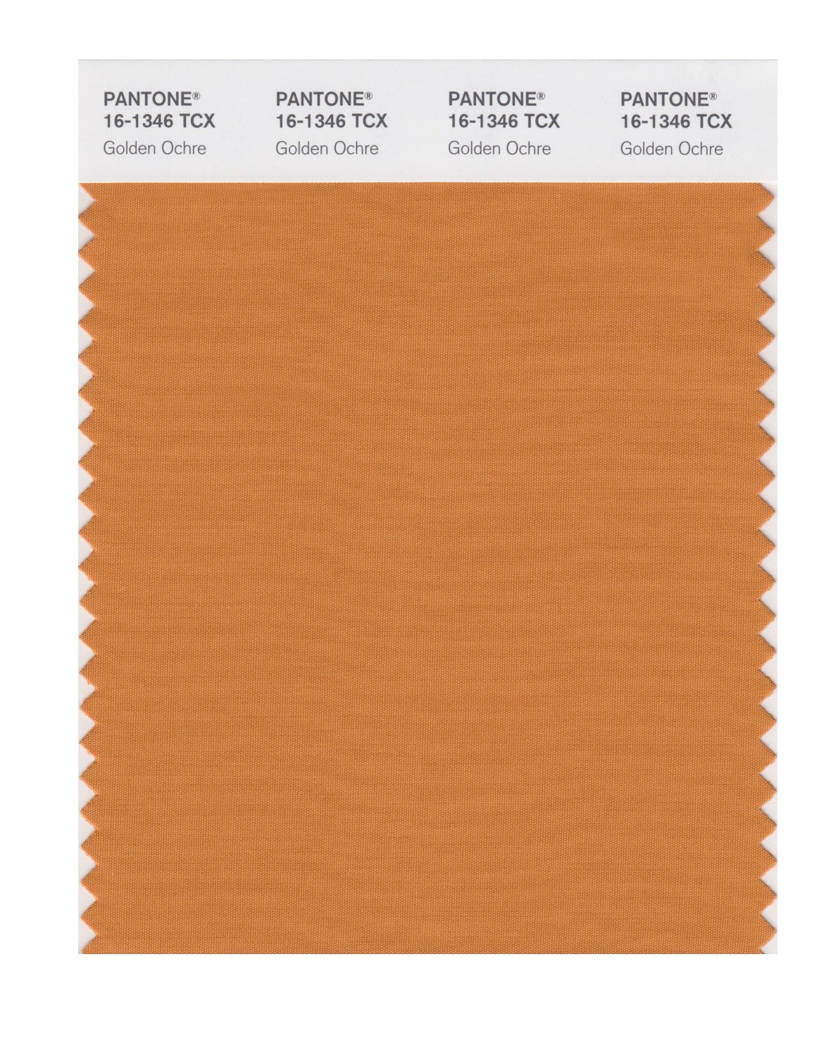 Pantone Cotton Swatch 16-1346 Golden Ochre