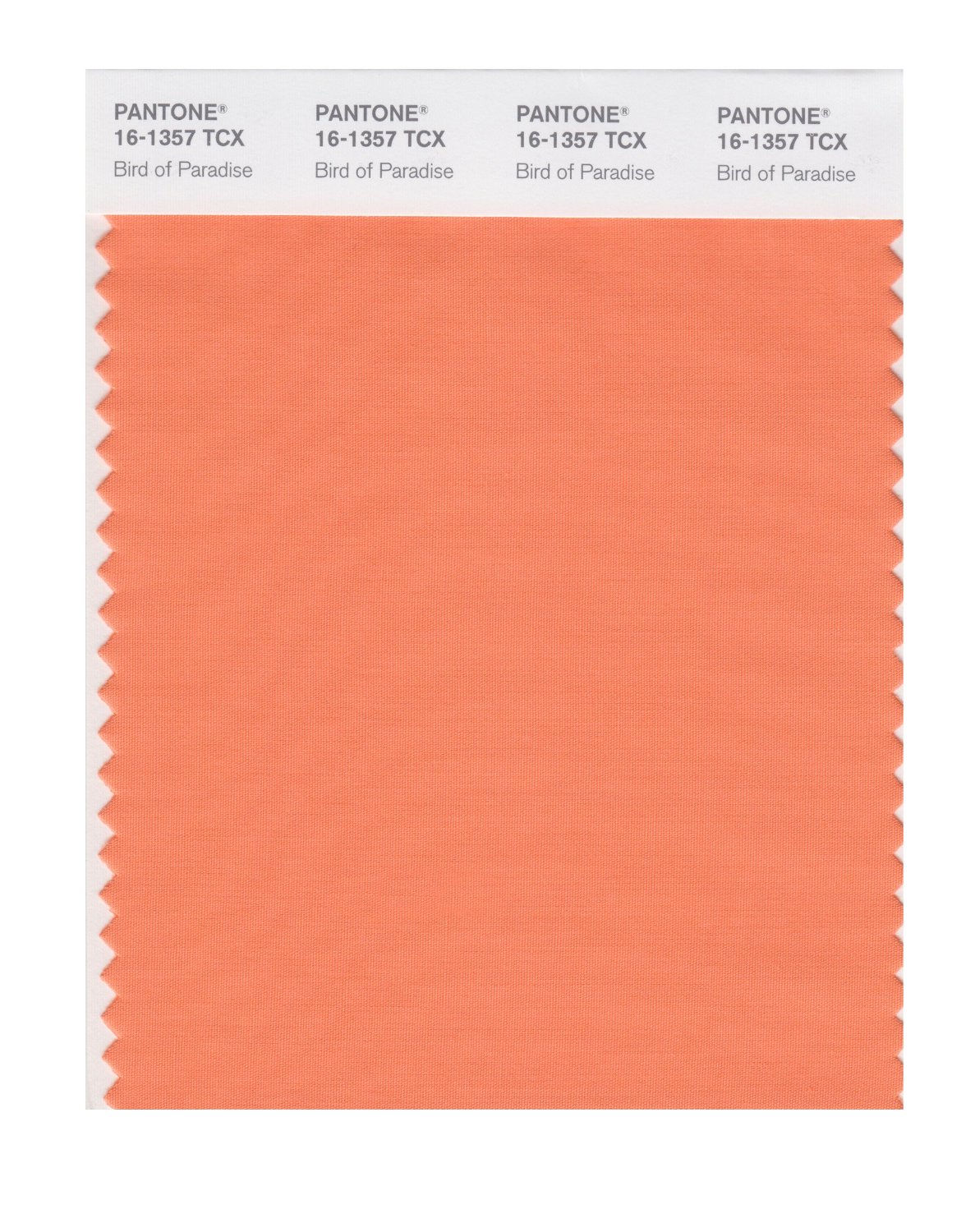 Pantone Cotton Swatch 16-1357 Bird Of Paradis