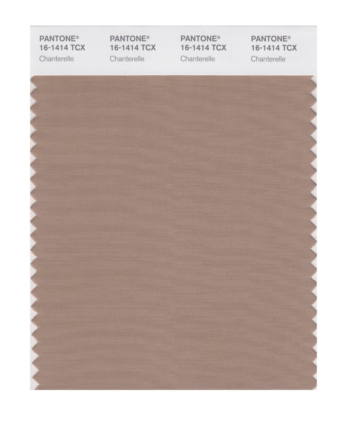 Pantone Cotton Swatch 16-1414 Chanterelle