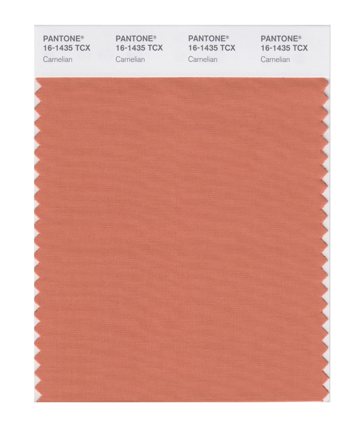 Pantone Cotton Swatch 16-1435 Carnelian