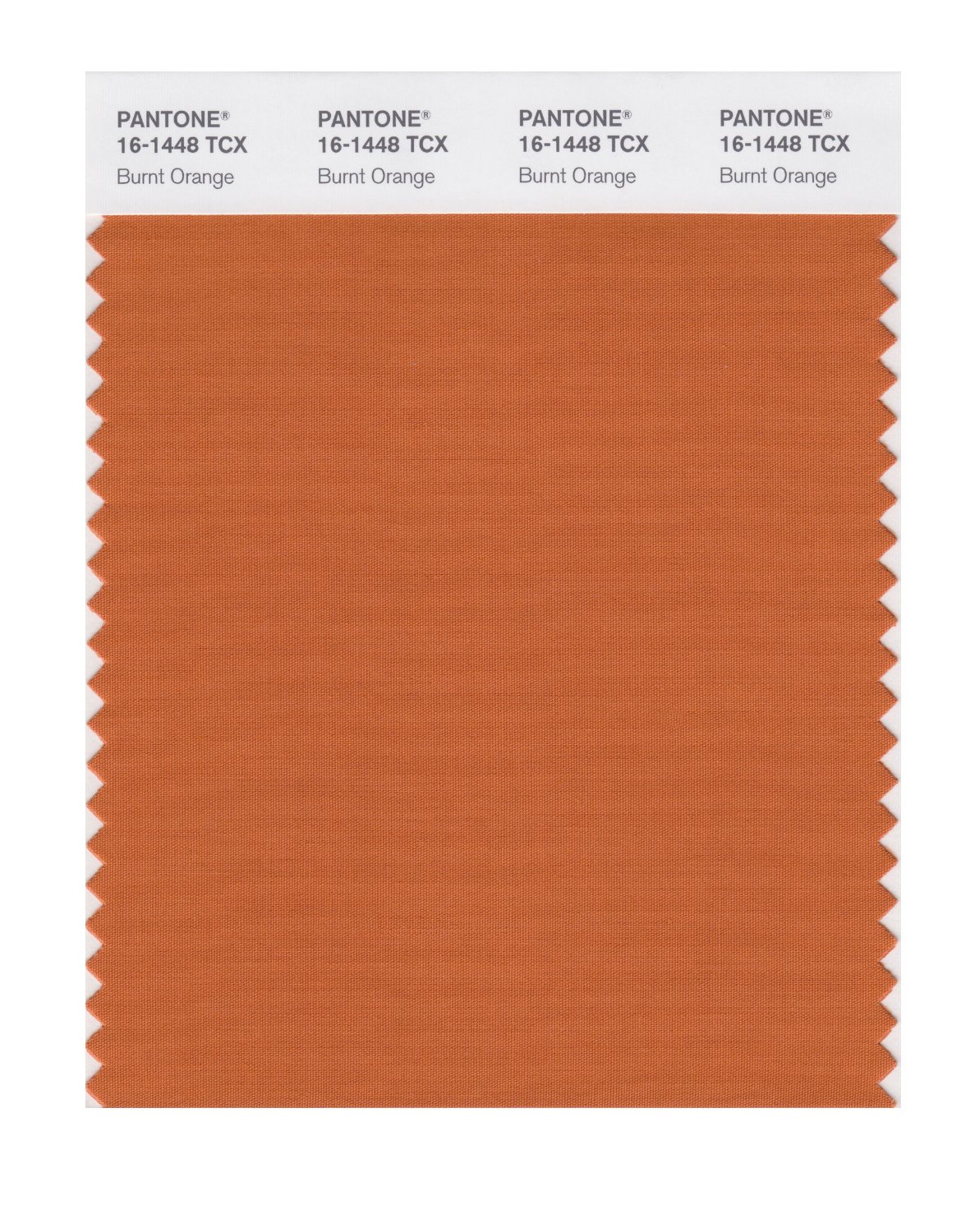 Pantone Cotton Swatch 16-1448 Burnt Orange