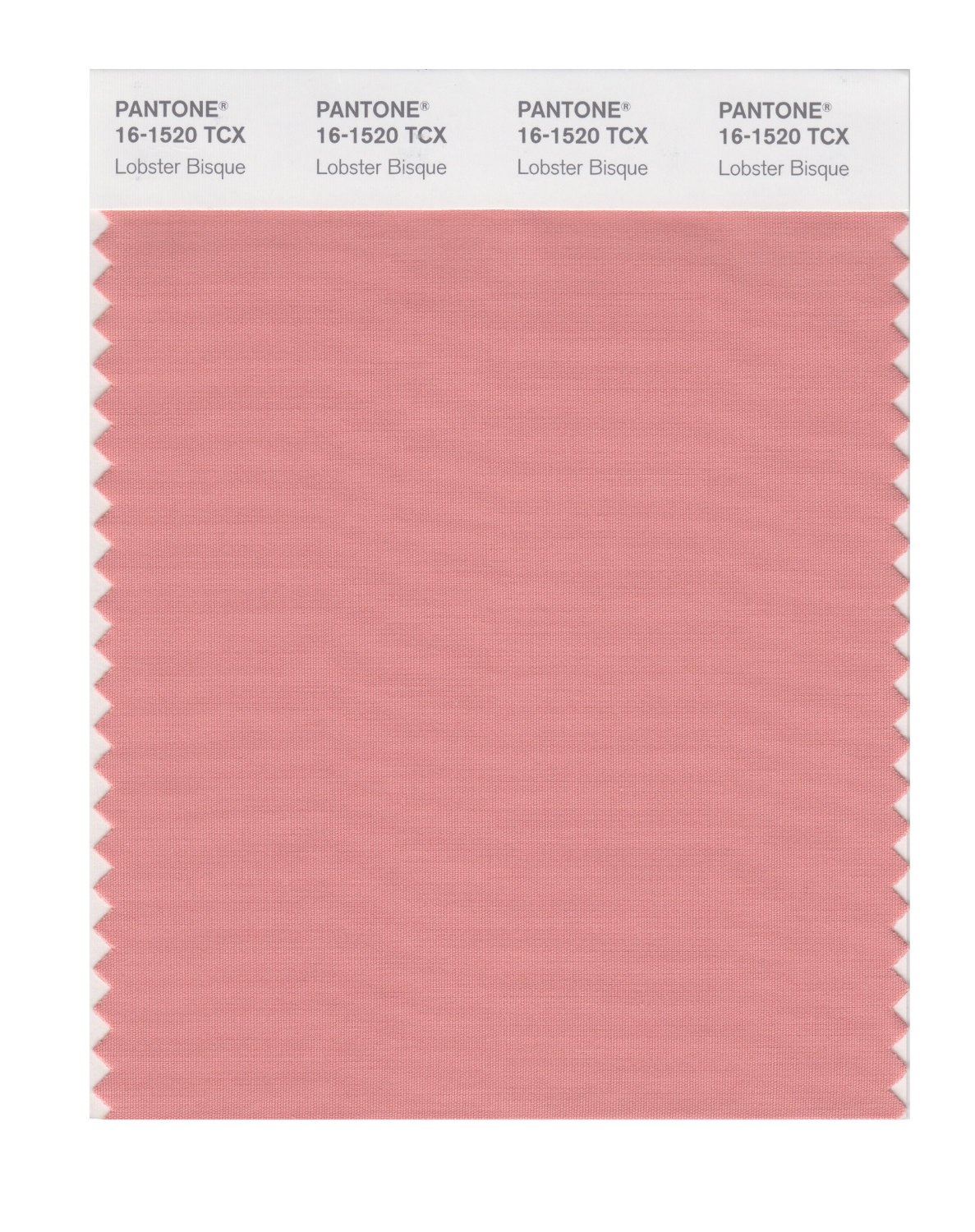 Pantone Cotton Swatch 16-1520 Lobster Bisque