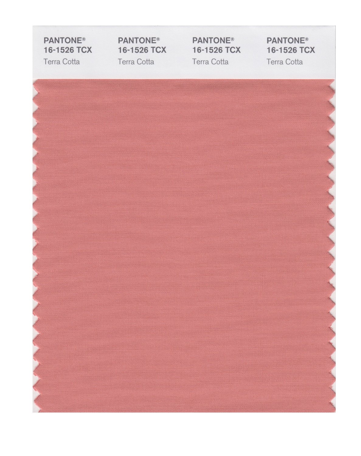 Pantone Cotton Swatch 16-1526 Terra Cotta