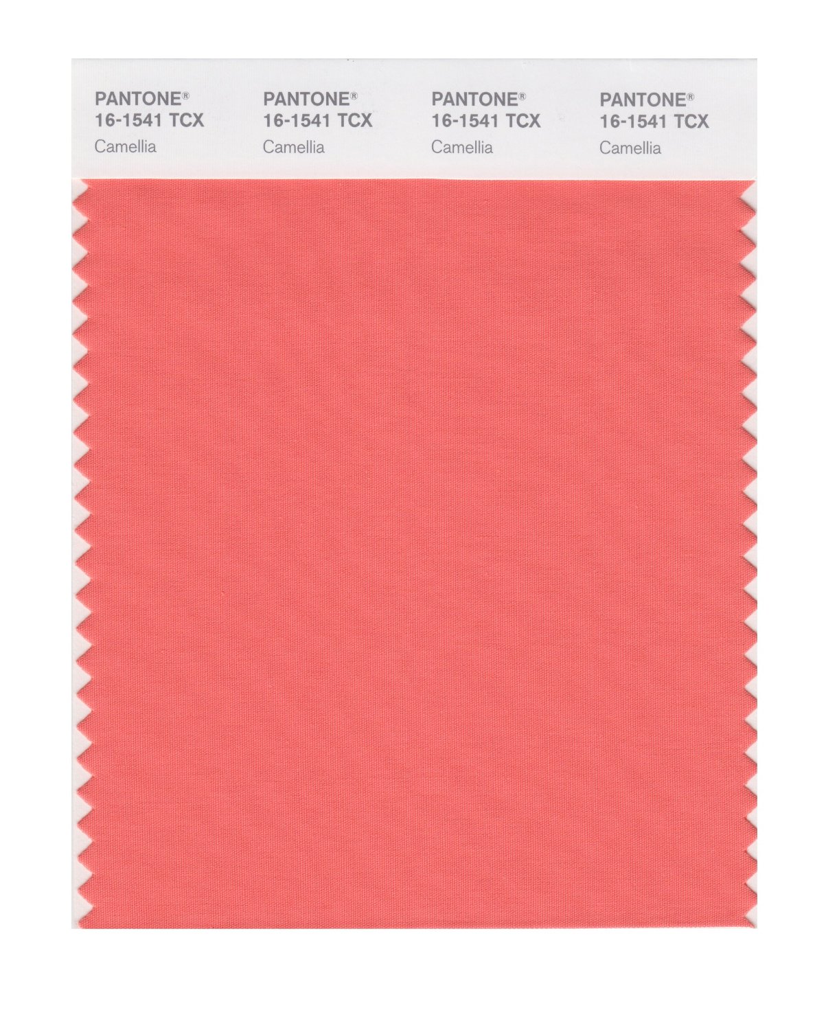 Pantone Cotton Swatch 16-1541 Camellia