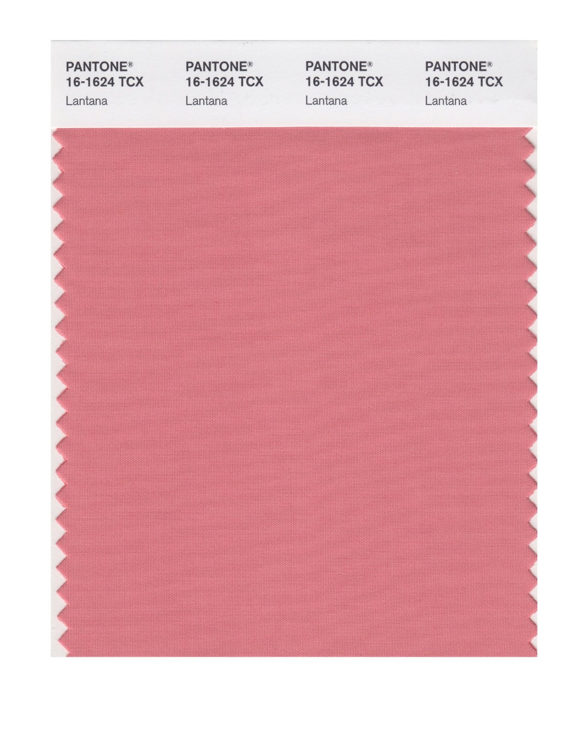 Pantone Cotton Swatch 16-1624 Lantana