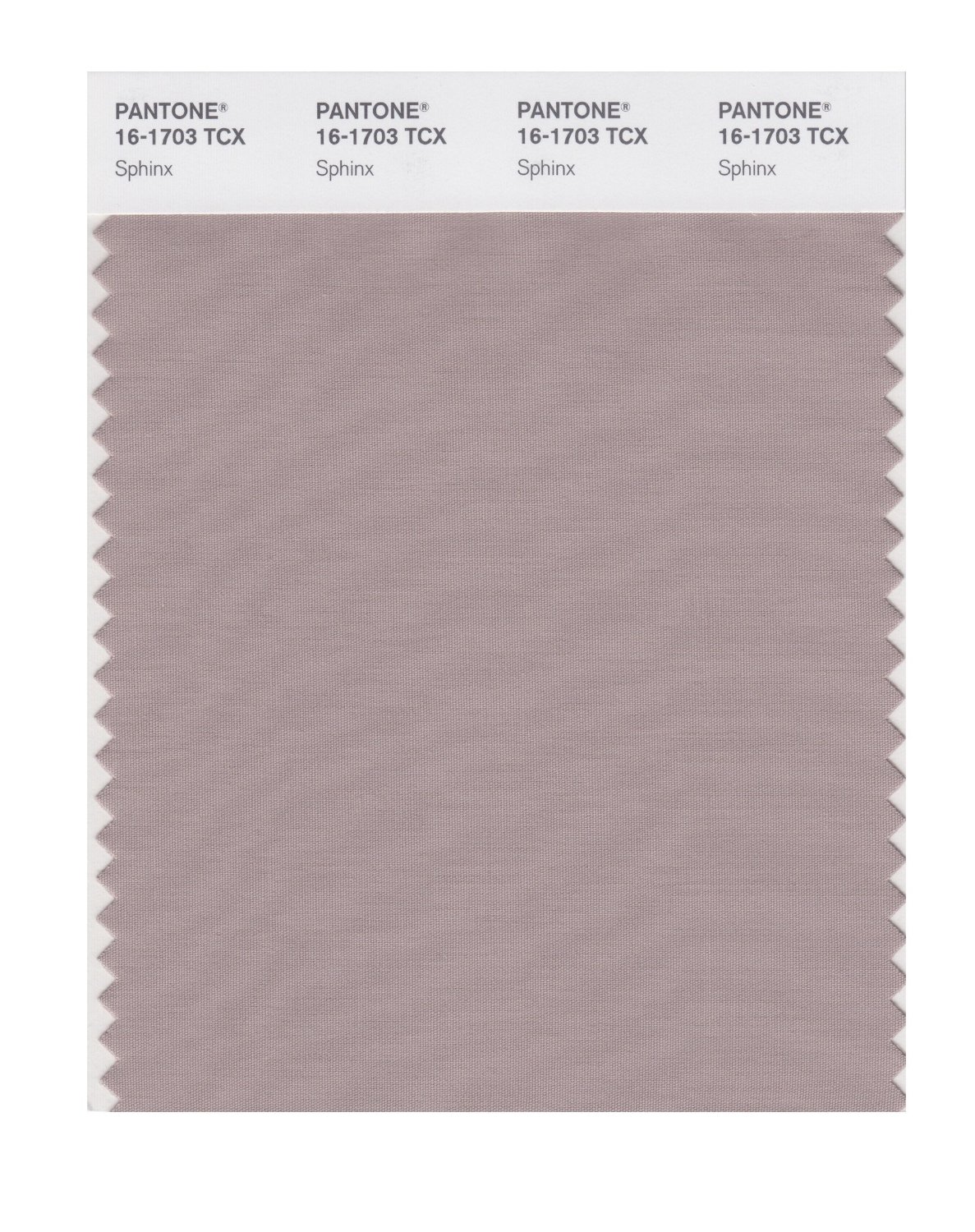 Pantone Cotton Swatch 16-1703 Sphinx