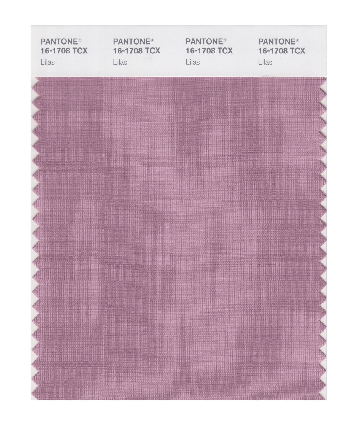 Pantone Cotton Swatch 16-1708 Lilas