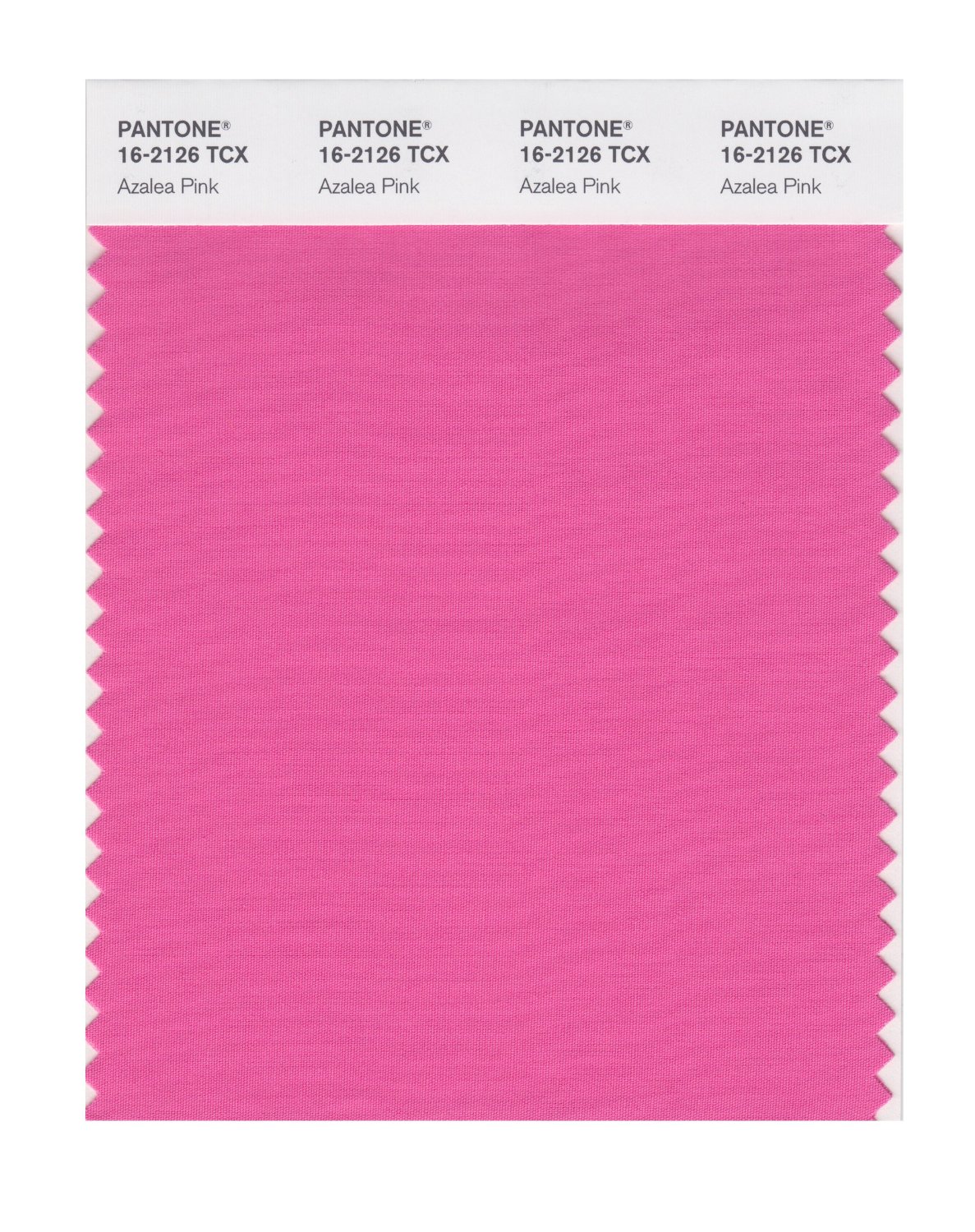 Pantone Cotton Swatch 16-2126 Azalea Pink
