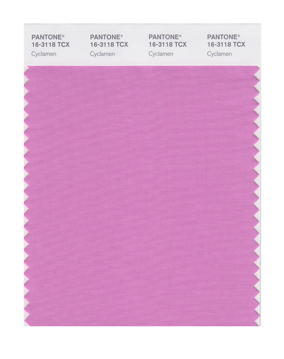 Pantone Cotton Swatch 16-3118 Cyclamen