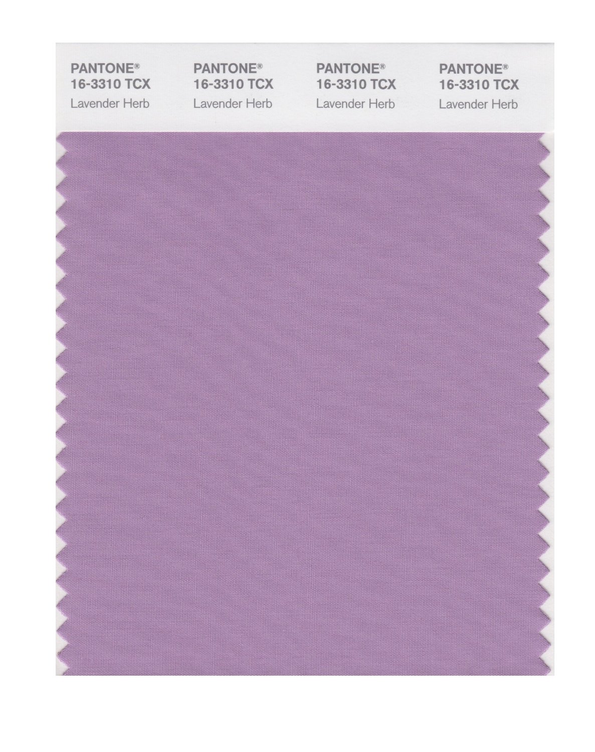 Pantone Cotton Swatch 16-3310 Lavender Herb