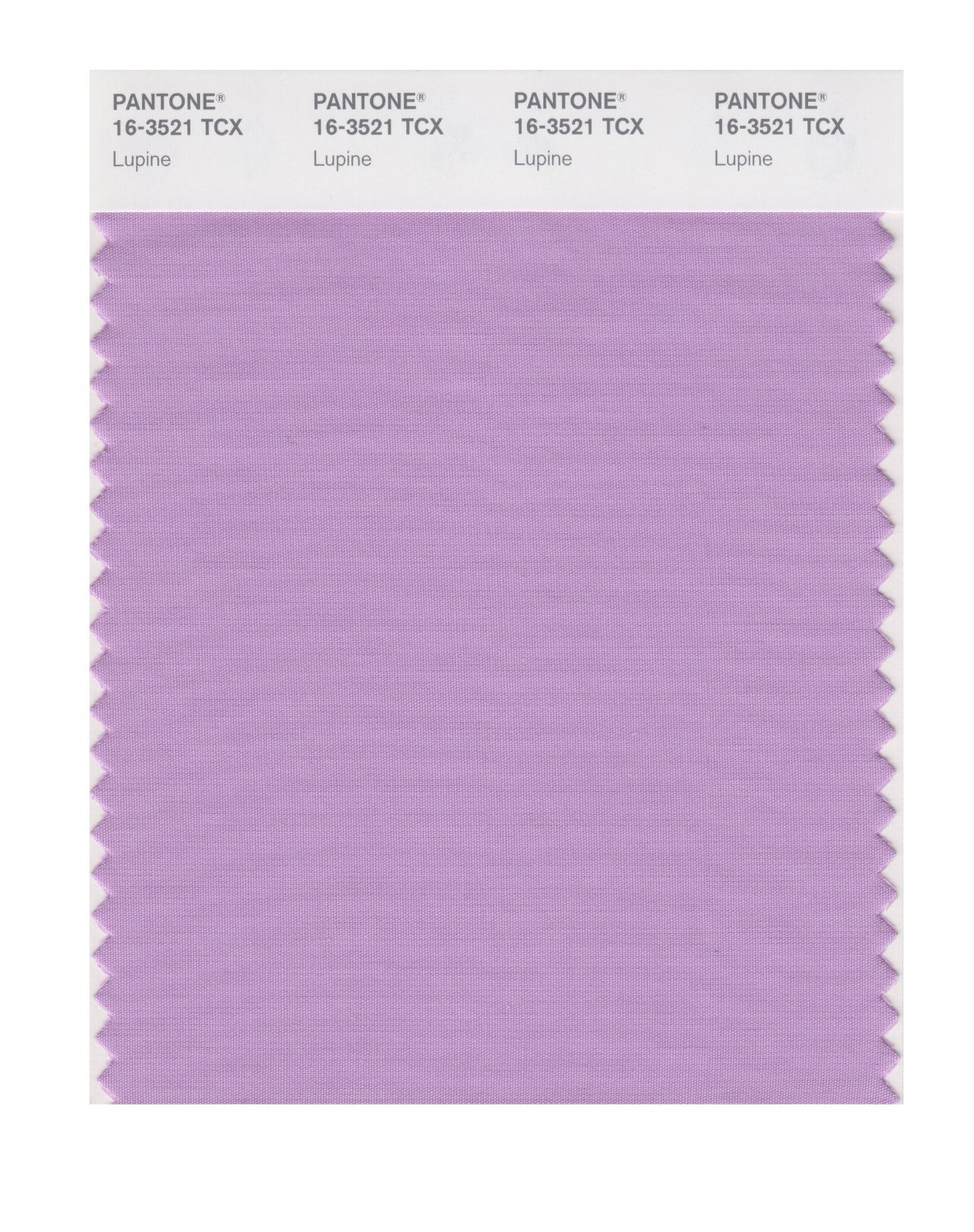 Pantone Cotton Swatch 16-3521 Lupine