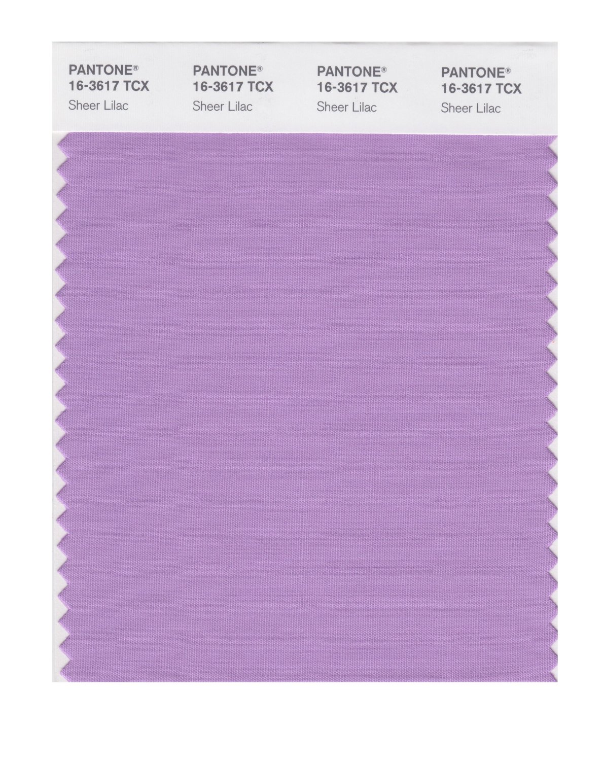 Pantone Cotton Swatch 16-3617 Sheer Lilac