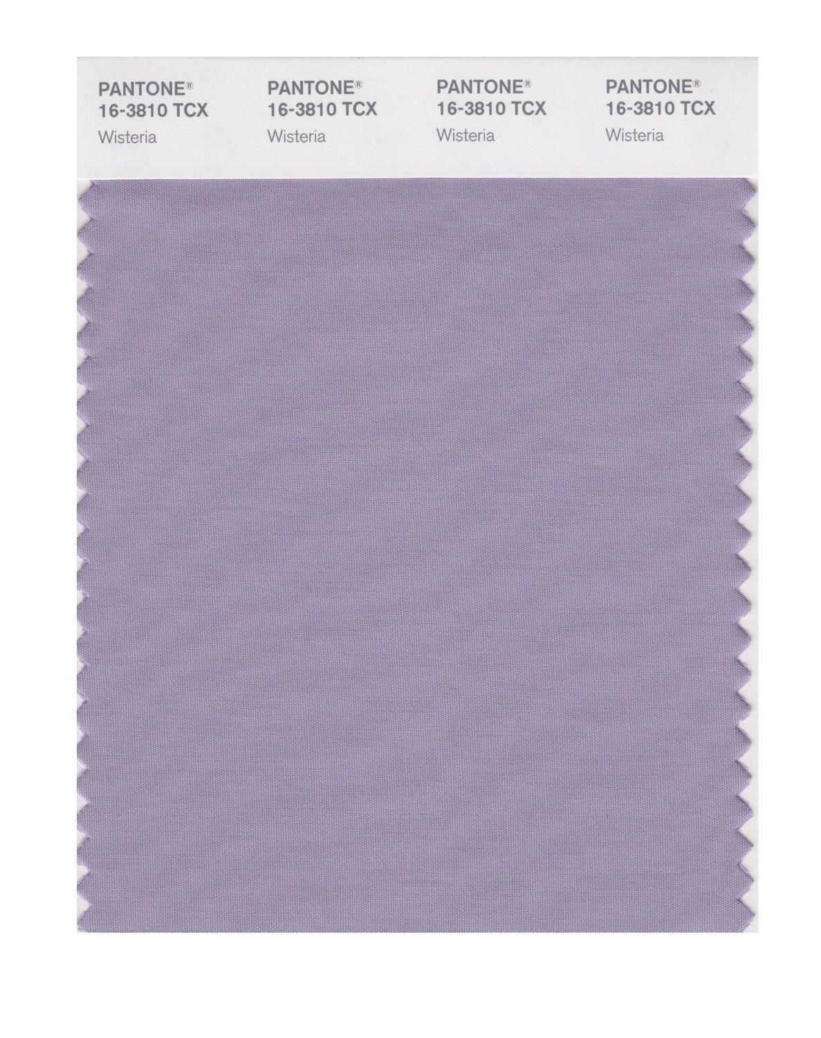 Pantone Cotton Swatch 16-3810 Wisteria