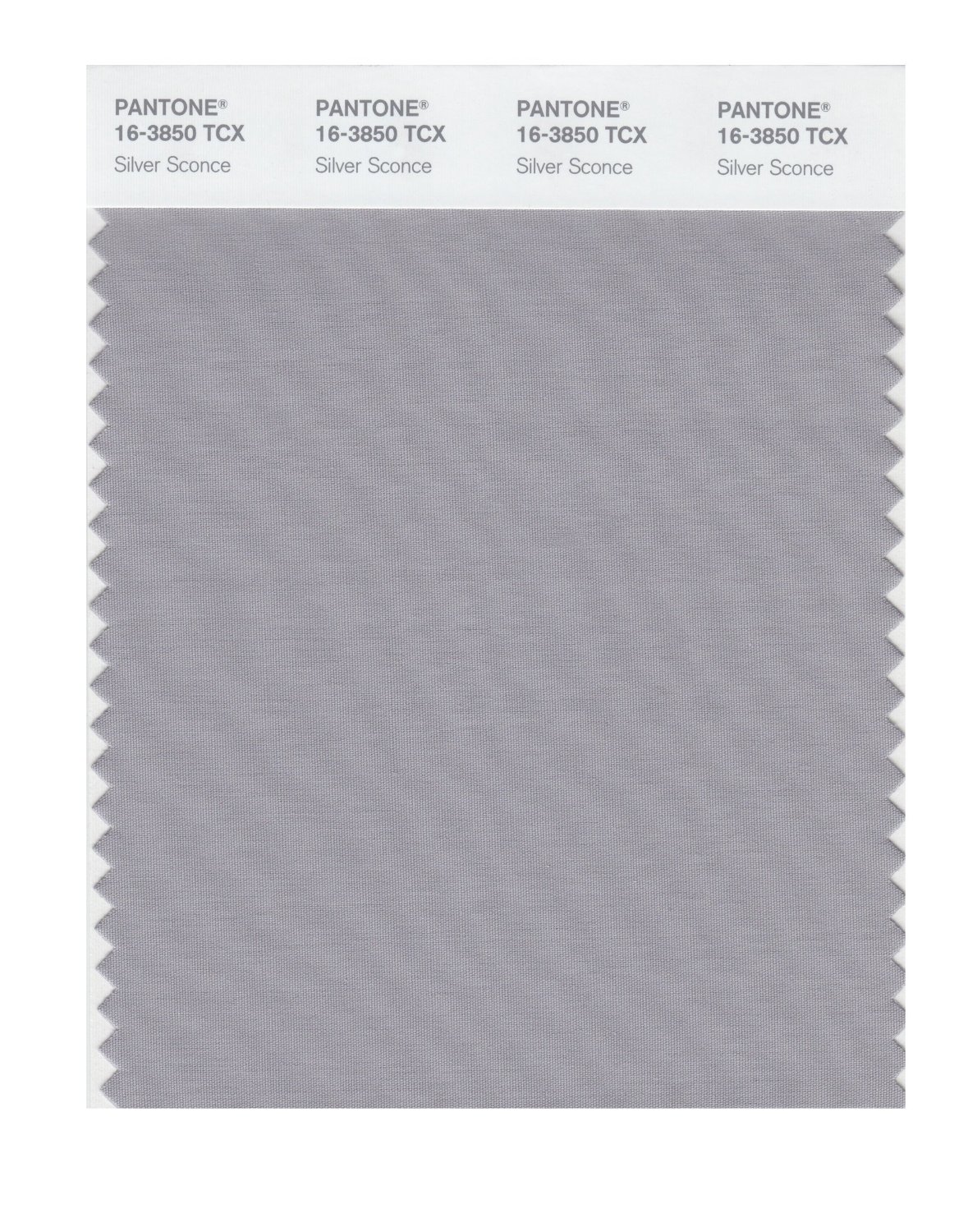 Pantone Cotton Swatch 16-3850 Silver Sconce