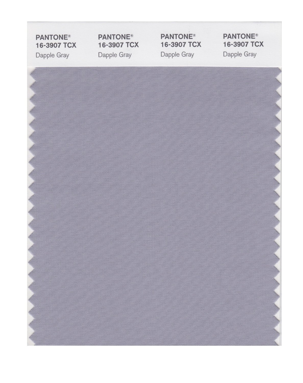 Pantone Cotton Swatch 16-3907 Dapple Gray