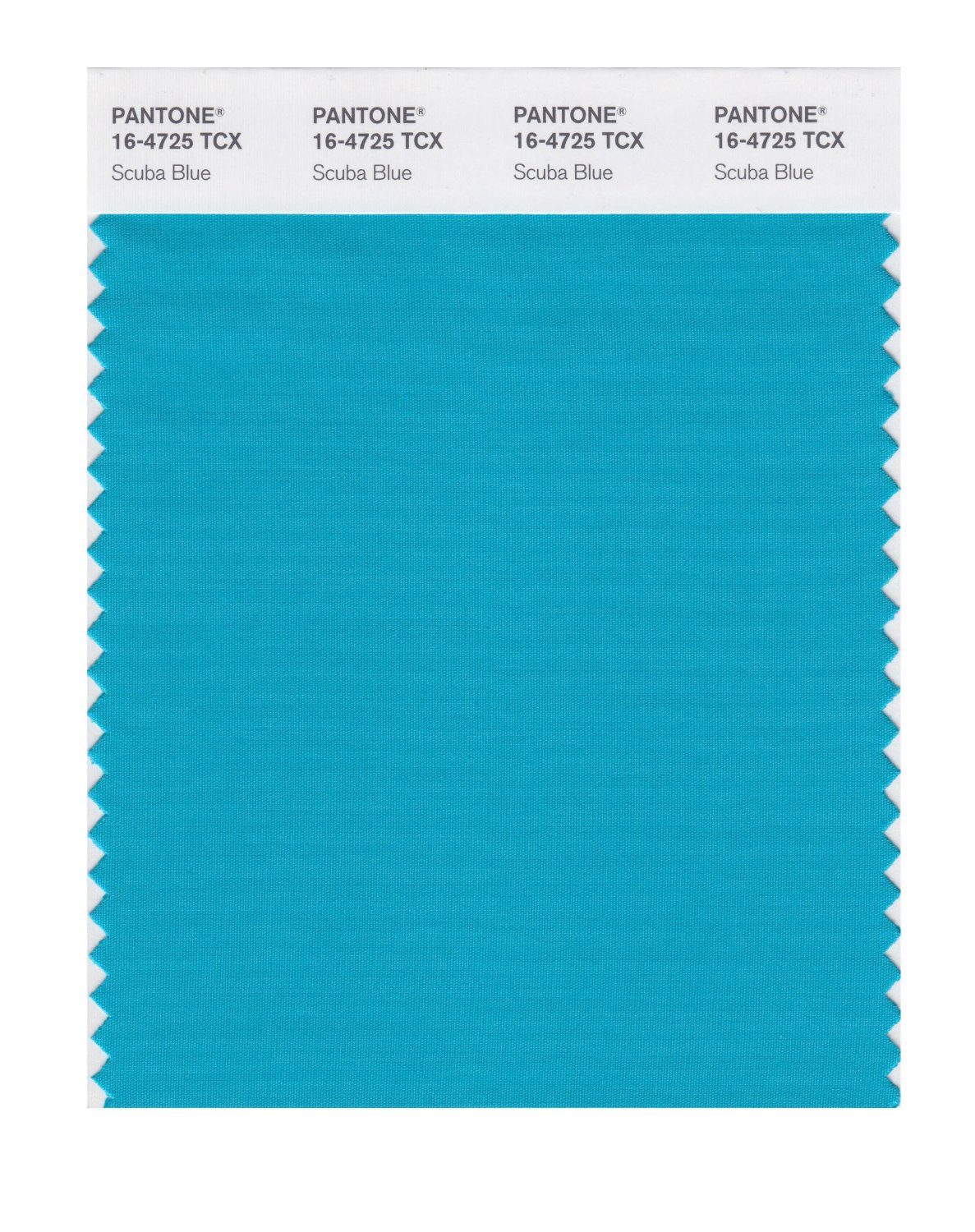 Pantone Cotton Swatch 16-4725 Scuba Blue
