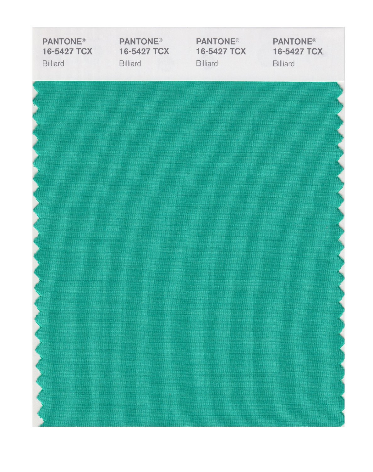 Pantone Cotton Swatch 16-5427 Billiard