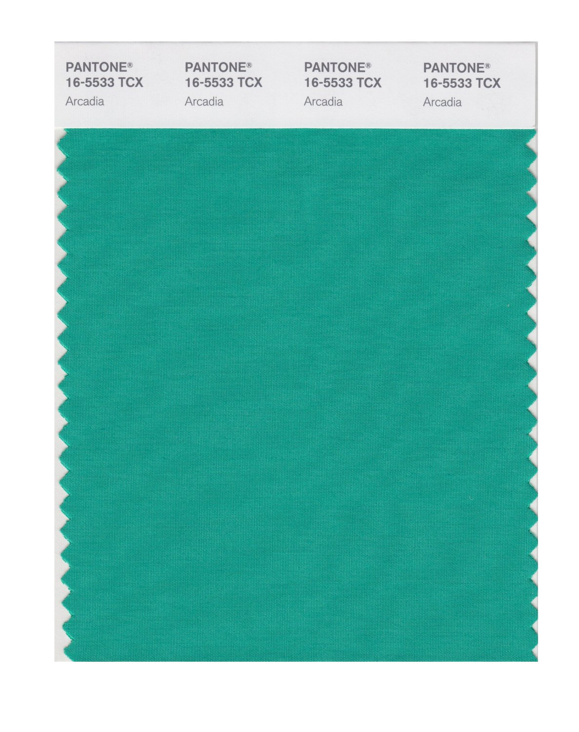 Pantone Cotton Swatch 16-5533 Arcadia