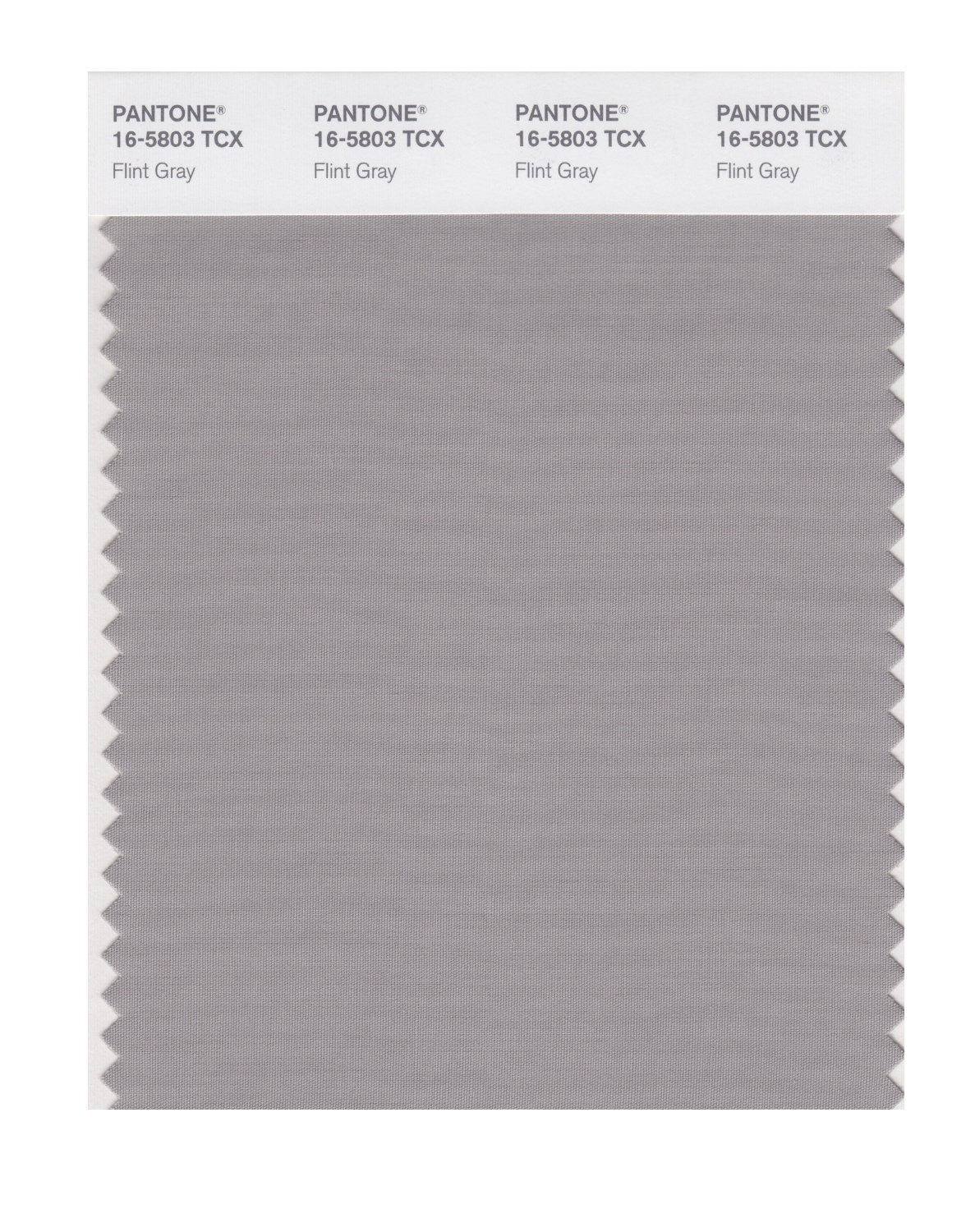 Pantone Cotton Swatch 16-5803 Flint Gray