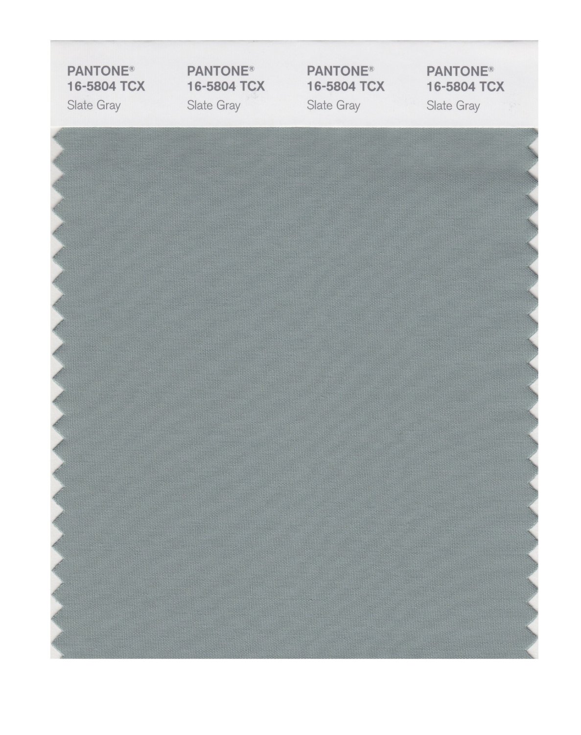 Pantone Cotton Swatch 16-5804 Slate Gray