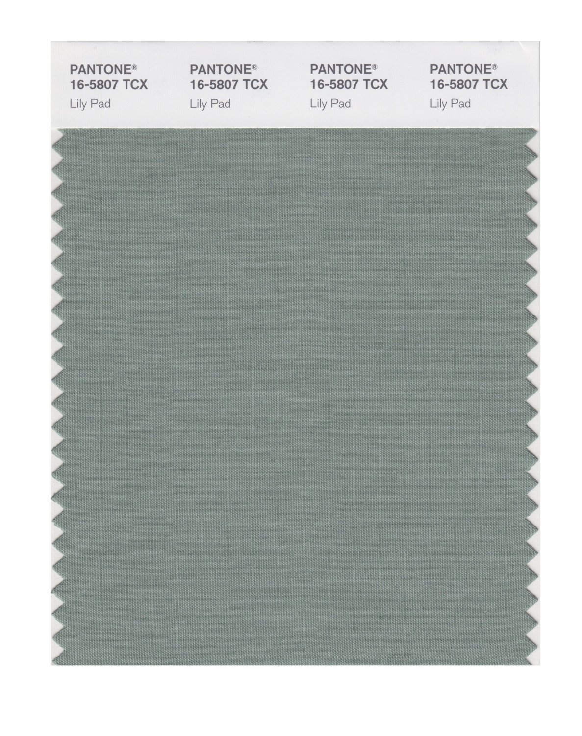 Pantone Cotton Swatch 16-5807 Lily Pad