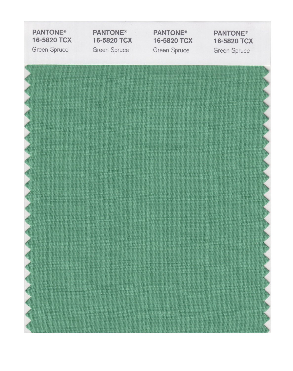 Pantone Cotton Swatch 16-5820 Green Spruce