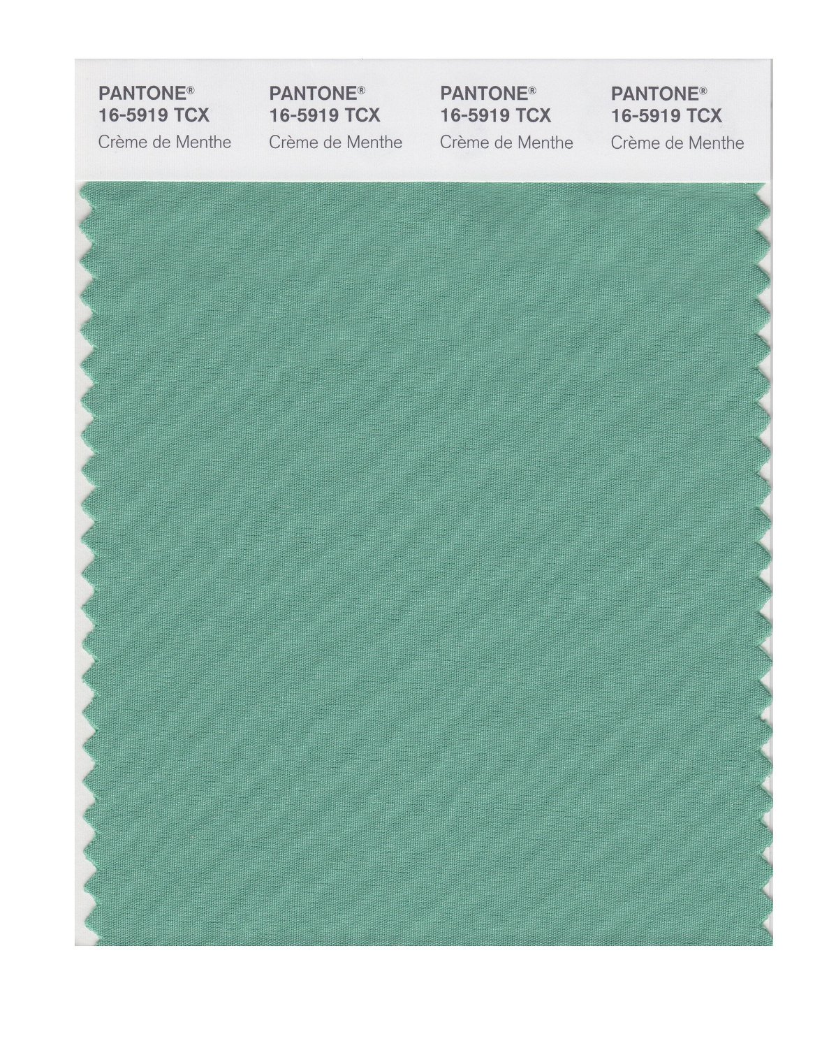 Pantone Cotton Swatch 16-5919 Creme De Menthe