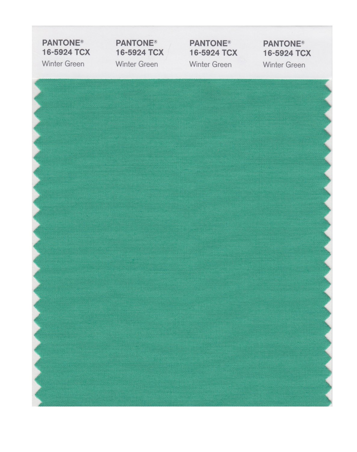 Pantone Cotton Swatch 16-5924 Winter Green