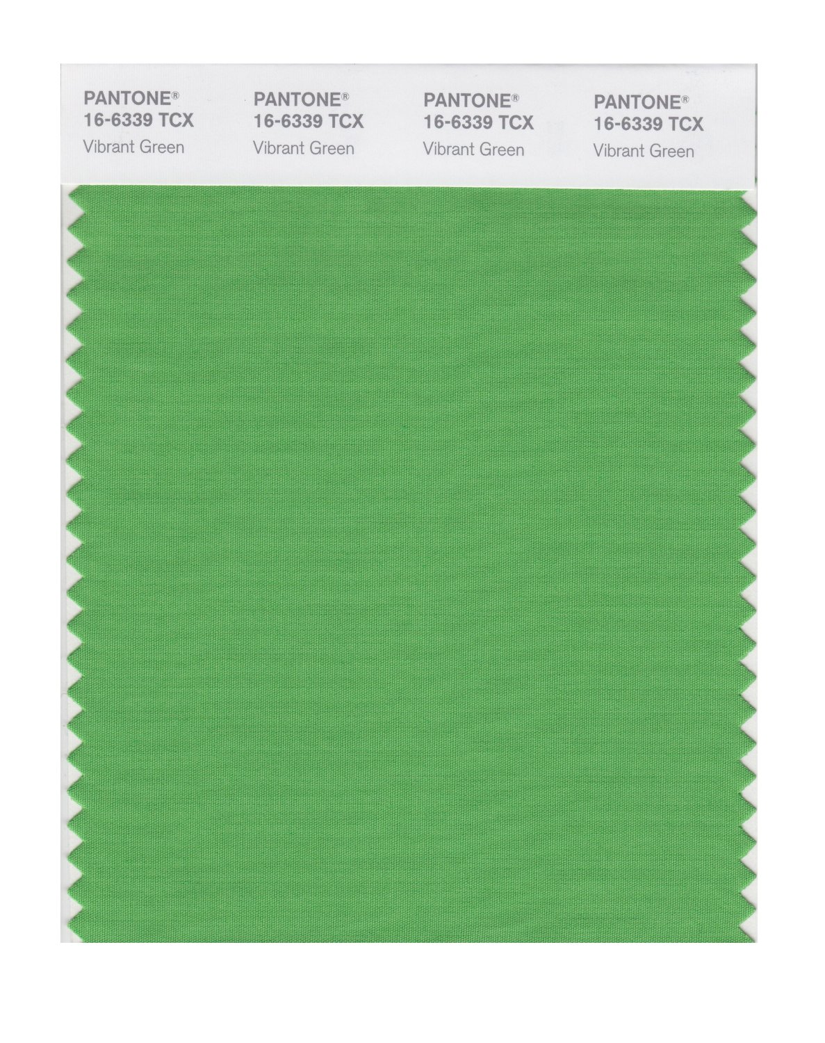 Pantone Cotton Swatch 16-6339 Vibrant Green