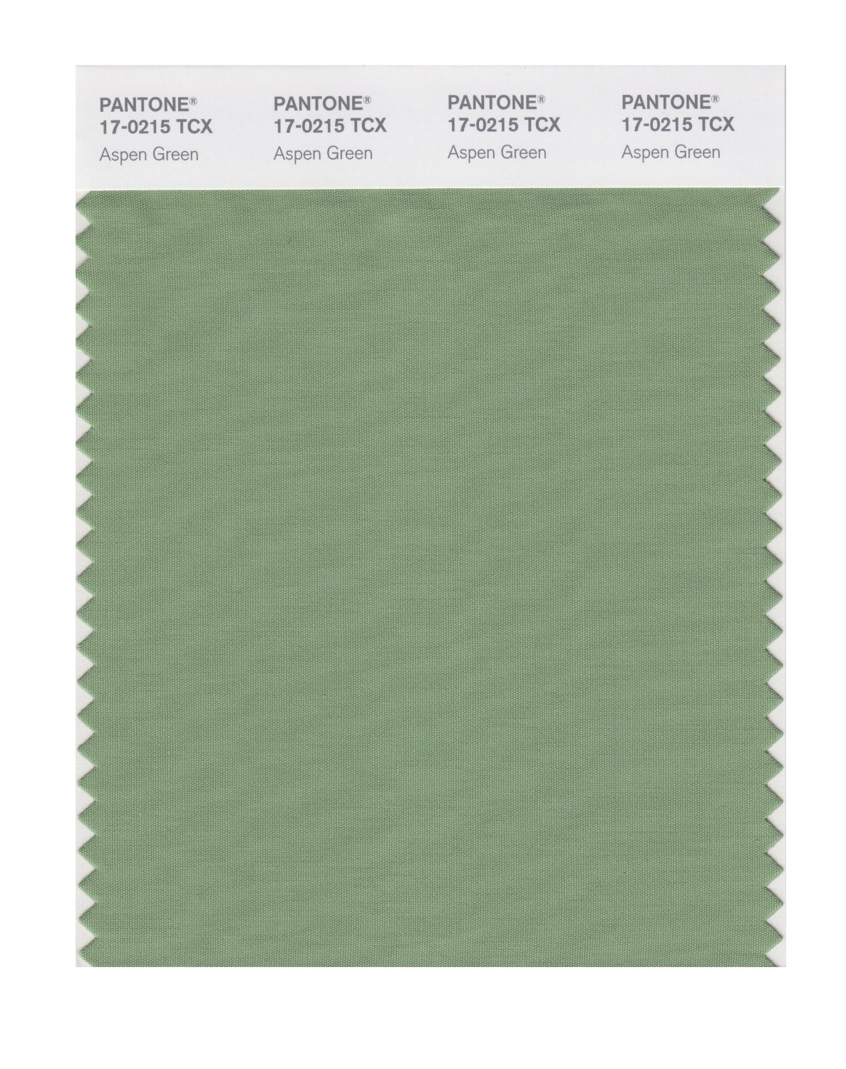 Pantone Cotton Swatch 17-0215 Aspen Green