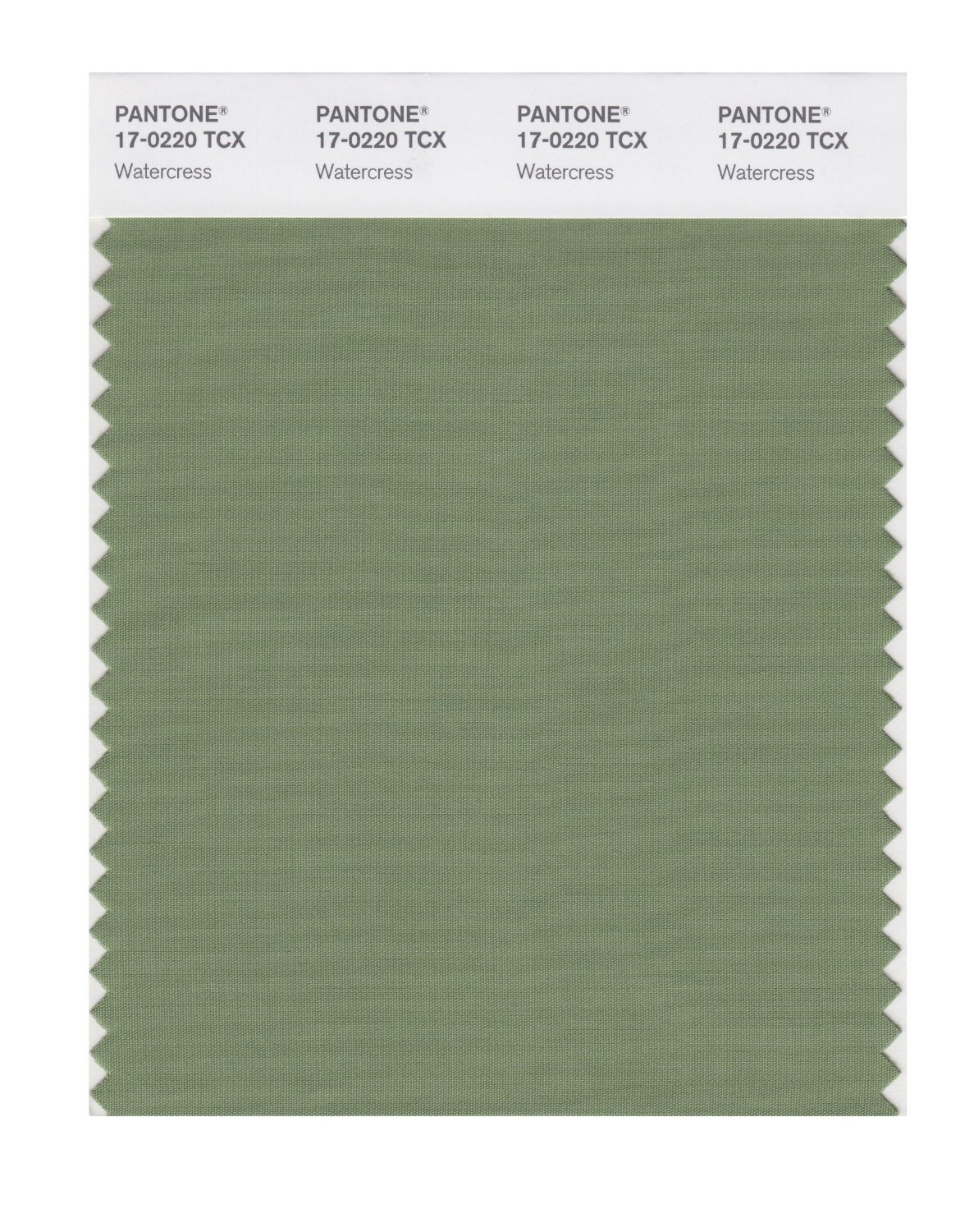 Pantone Cotton Swatch 17-0220 Water Cress