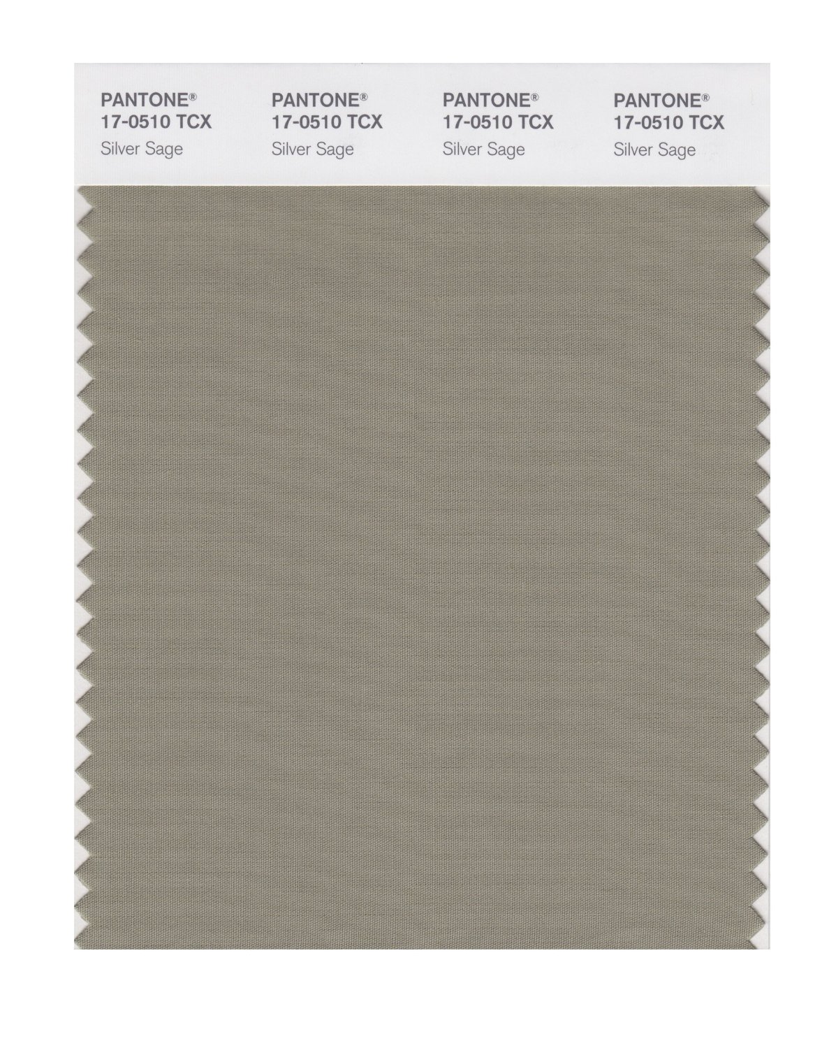 Pantone Cotton Swatch 17-0510 Silver Sage