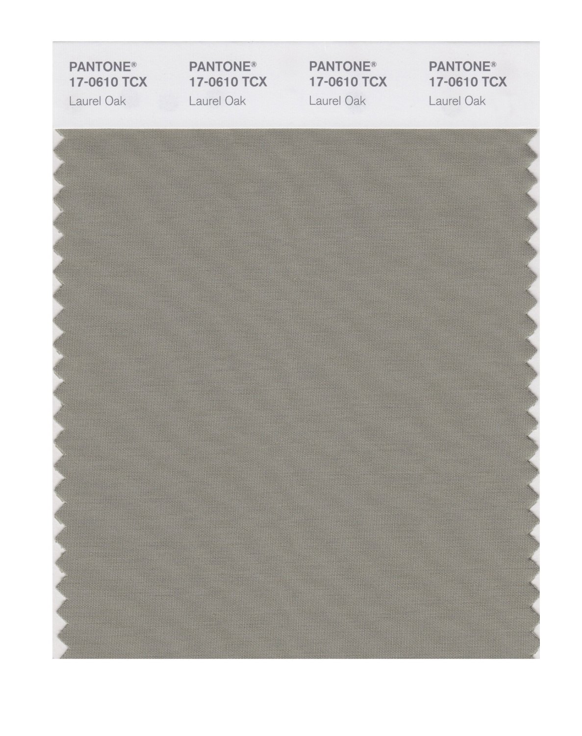 Pantone Cotton Swatch 17-0610 Laurel Oak