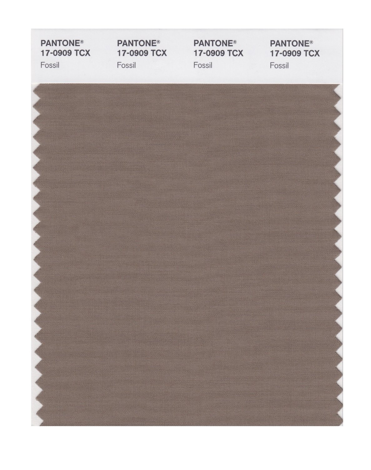 Pantone Cotton Swatch 17-0909 Fossil